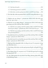 product-img-11