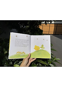 product-img-21
