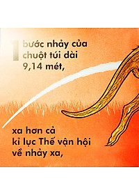 Sách Chuột Túi Nhảy Xa Chừng Nào?