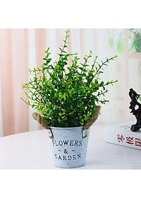 product-img-8