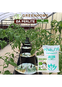 Đá Perlite Greenhome, Bao 300gr, Trồng Hồng, Thuỷ Canh, Giá Thể Trân Châu Giàu Khoáng Chất, Tăng Độ Tơi Xốp