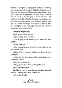 product-img-11