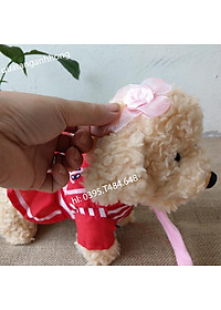 product-img-2