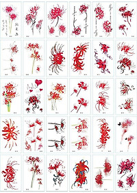 product-img-13