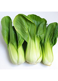 Hạt Giống Cải Thìa ( Cải Bẹ Lớn - Cải Chíp ) 20Gr- Trồng Rau Xanh Rau Sạch Bằng Đất Sạch, Mùn Dừa Và Phân Hữu Cơ - Phú Nông