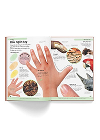 Sách Bách Khoa Cho Trẻ Em – Cơ Thể Người