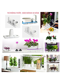 product-img-6