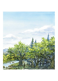 Sách Những Cuộc Phiêu Lưu Kì Thú