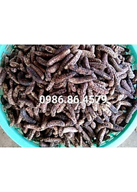 Đặc Sản Kon Tum - (Được Xem Hàng) 1Kg Chuối Hột Rừng Loại 1 (Loại Mật Chín Cây, Rất Thơm Và Ngọt) Đóng Gói Hút Chân Không - OCOP 3 Sao