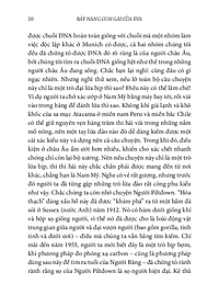 product-img-11
