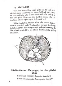 product-img-6