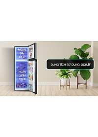 Tủ lạnh Toshiba Inverter 253 lít GR-RT329WE-PMV(52) - Hàng Chính Hãng (Chỉ giao HCM)