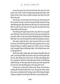 product-img-12