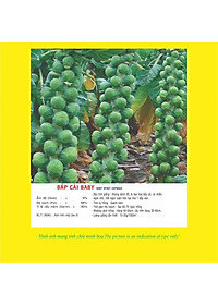 product-img-2
