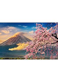 Bộ tranh xếp hình cao cấp 1000 mảnh ghép – Núi Phú Sĩ, Nhật Bản (50x79cm)
