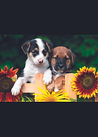 Tranh xếp Hình Tia Sáng Cún Con Đón Mẹ (247 Mảnh Ghép)