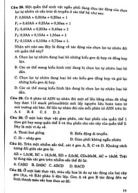 Cấu Trúc Các Dạng Đttn Sinh Học 12