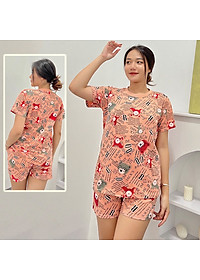 Đồ bộ mặc nhà quần đùi DN2 - Đồ bộ cotton quần đùi mặc nhà - Bộ đồ nữ mặc nhà