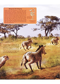 Sách Di Chuyển Và Di Cư