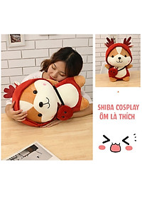 product-img-12