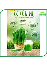 product-img-6