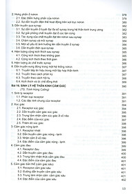 product-img-10