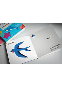 product-img-6