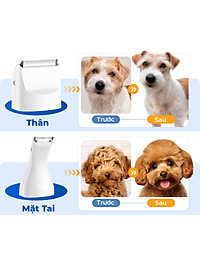 product-img-12