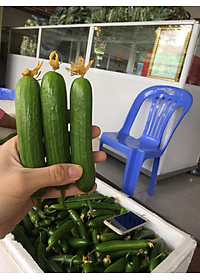 product-img-3