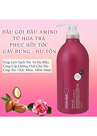 Dầu gội hoa trà phục hồi tóc hư tổn salon link 1000ml/chai