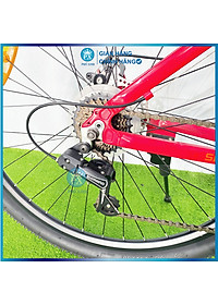 Xe đạp thể thao phượng hoàng khung nhôm 29" 21 speed