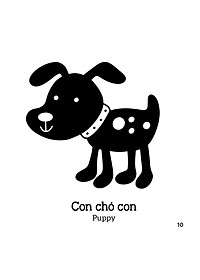 product-img-12