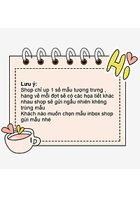 product-img-8