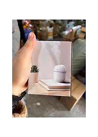 product-img-2