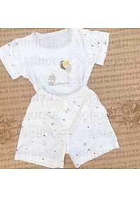 product-img-13