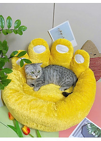 product-img-5