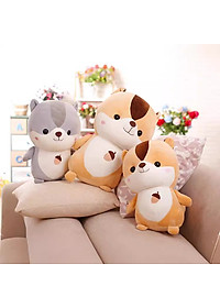 product-img-3