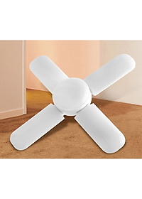 product-img-7