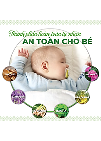 Xịt Phòng Tinh Dầu Hữu Cơ Organic 24Care - Kháng khuẩn - Khử mùi hôi - Đuổi muỗi, kiến ba khoan - côn trùng - Hương thơm thư giãn.