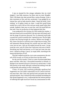 The Power Of Now: A Guide To Spiritual Enlightenment (20th Anniversary Edition)