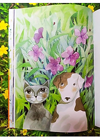 product-img-3