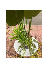product-img-7