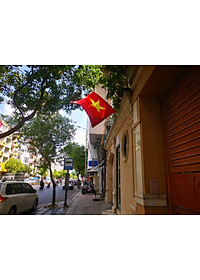 Cờ Việt Nam 70X100cm phi mờ