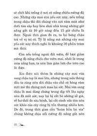 product-img-9