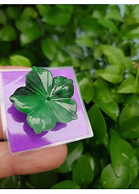 product-img-6