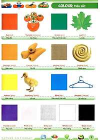 product-img-7