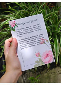 product-img-7