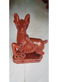 product-img-9