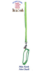 product-img-11
