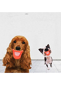 Đồ chơi cho chó gặm hình răng miệng cười ngộ nghĩnh